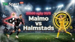 Phong độ và thực lực của Malmo trước giờ bóng lăn